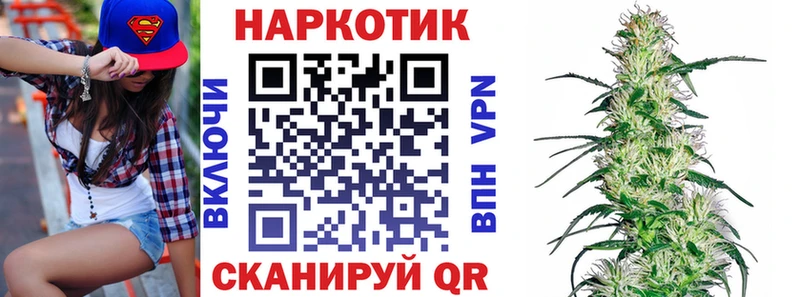 Где купить наркоту Каргополь ГАШИШ  Бошки Шишки  Галлюциногенные грибы  Мефедрон  Кокаин  A-PVP 
